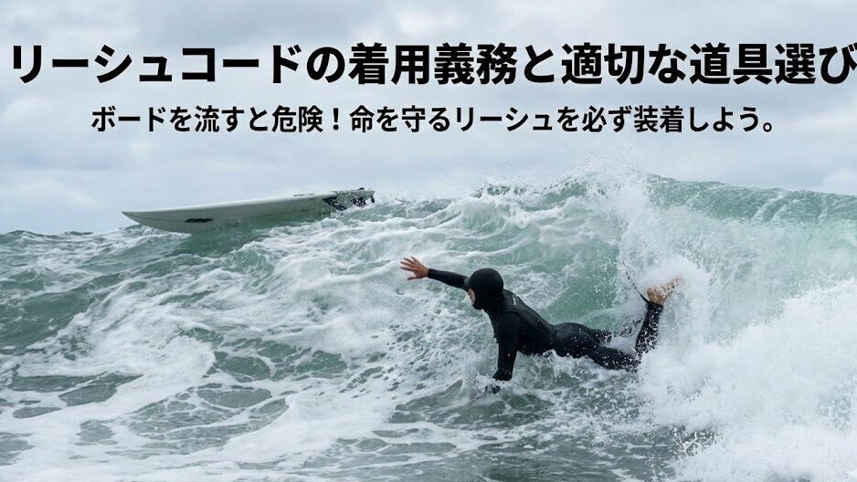 第5位:リーシュコードの着用義務と適切な道具選び
