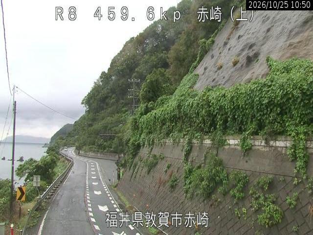 赤崎 道路ライブカメラ（みち情報ネットふくい）
